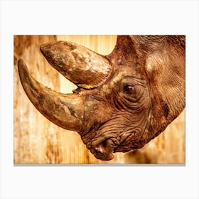 Rhinoceros 1 Canvas Print