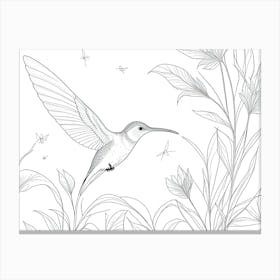 Hummingbird Canvas Print