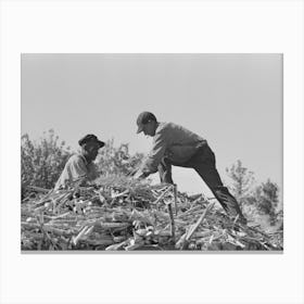 Untitled Photo, Possibly Related To Loading Sugar Cane Onto Truck By Means Of Large Scissors Grab Canvas Print