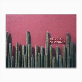 Mexico Mi Amor 2 Canvas Print