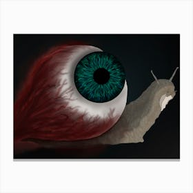 Snail’s shell Canvas Print