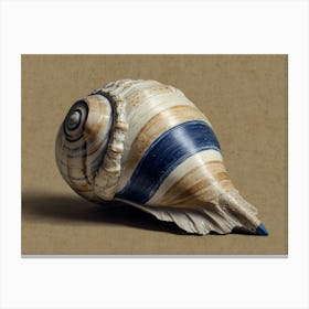 Seashell Hamptons style Canvas Print