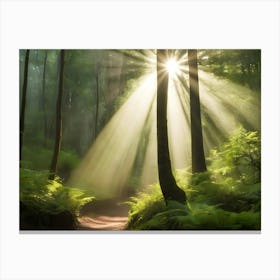 Forest With Sunbeams 13 Canvas Print