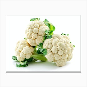 Cauliflower 5 Canvas Print