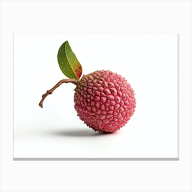 Lychee Fruit 10 Canvas Print