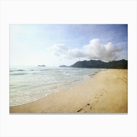 Hawaiian Beach 8 Canvas Print