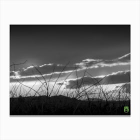 Sunset Over Grass 20211127 120ppub Canvas Print
