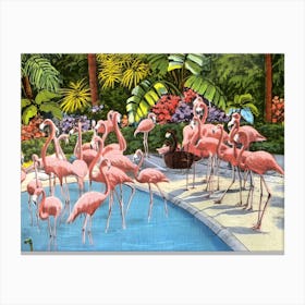 Flamingos By The Pool Canvas Print