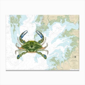 Atlantic Ocean Blue Crab By James Ellsworth De Kay On Chesapeake Bay Nautical Chart 12228 Canvas Print