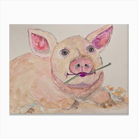 Piggy Canvas Print