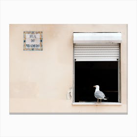 The Seagull In The Window Porto Portugal Canvas Print
