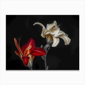 Two Lilies Canvas Print