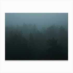 Foggy Forest 1 Canvas Print