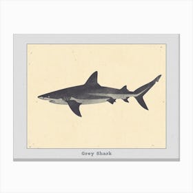 Grey Shark Silhouette 2 Poster Canvas Print