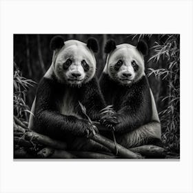 Panda Canvas Print