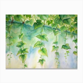 Ivy Vines Canvas Print