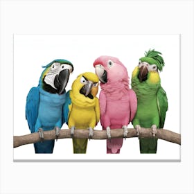 Colorful Parrots 1 Canvas Print