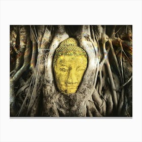 Buddha In Roots Canvas Print