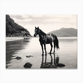 A Horse Oil Painting In Lopes Mendes Beach, Brazil, Landscape 3 Canvas Print