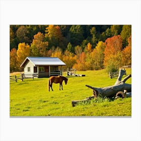 Horse In A Field Canvas Print