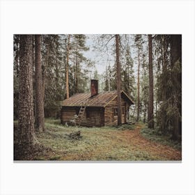 Remote Log Cabin Canvas Print