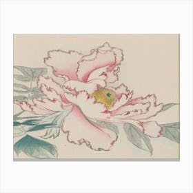 Peony 2 Canvas Print