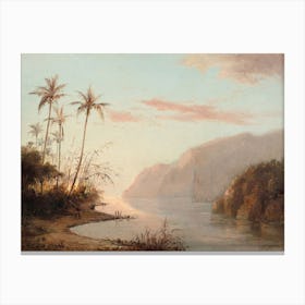 A Creek In St Thomas Virgin Islands, Camille Pisarro Canvas Print
