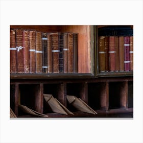 Library Bookshelves Canvas Print