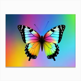 Butterfly - Butterfly Stock Videos & Royalty-Free Footage 3 Canvas Print