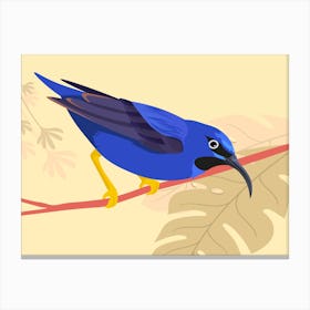 Tropical Avian Animal On Branch Canvas Print