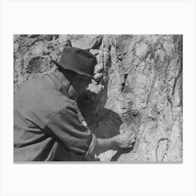 Prospector Taking A Sample Of Dirt From Creek Bed Which Contains Scattered Gold, Pinos Altos, New Mexico B Canvas Print