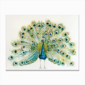 Peacock 25 Canvas Print