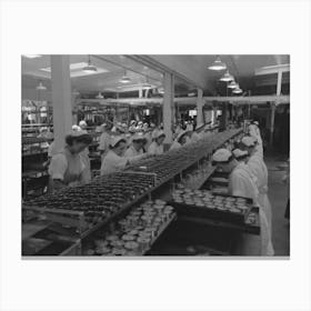Untitled Photo, Possibly Related To Packing Tuna Into Cans, Columbia River Packing Association, Astoria, Oregon Canvas Print