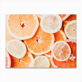 Citrus Slices Canvas Print