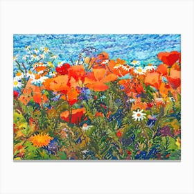 Namaqualand National Park Canvas Print