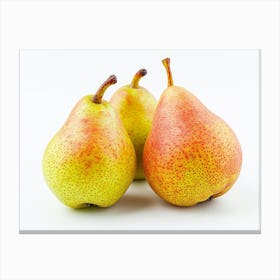 Pears On A White Background 1 Canvas Print