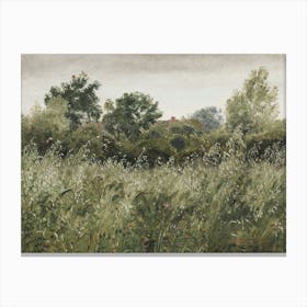 Spring Field Canvas Print