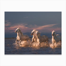 Angels Of Camargue Canvas Print