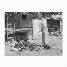 Untitled Photo, Possibly Related To Wife Of Tenant Farmer Living Near Muskogee, Oklahoma, Feeding The Chickens Canvas Print
