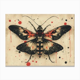 Calligraphic Wonders: Moth 1 Canvas Print
