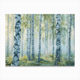 Birch Forest 12 Canvas Print