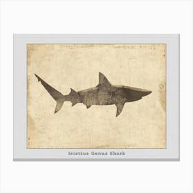 Isistius Genus Shark Silhouette 1 Poster Canvas Print