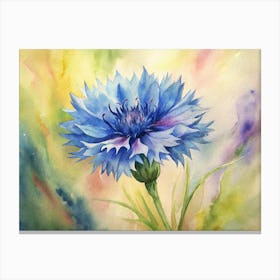 Blue Cornflower 1 Canvas Print