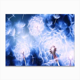 Dandelions In Flight - Dandelion Puffs Fly Away Canvas Print