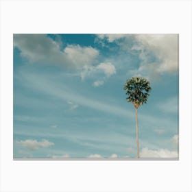 Lonely Palm Tree Canvas Print