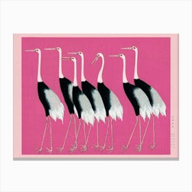 Pink Japanese Cranes Canvas Print