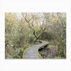 Walking On Shelves In Autumn Canvas Print