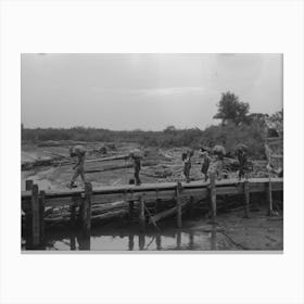 Untitled Photo, Possibly Related To Unloading Oysters From Packet Boat Arriving At New Orleans, Louisiana By Canvas Print