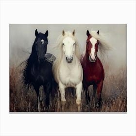 Born to be Free Canvas Print