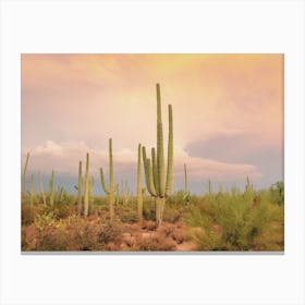 Pastel Desert Sky Canvas Print